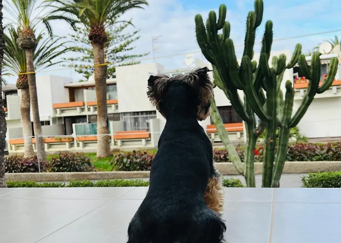 Tenbelsol Apartamento